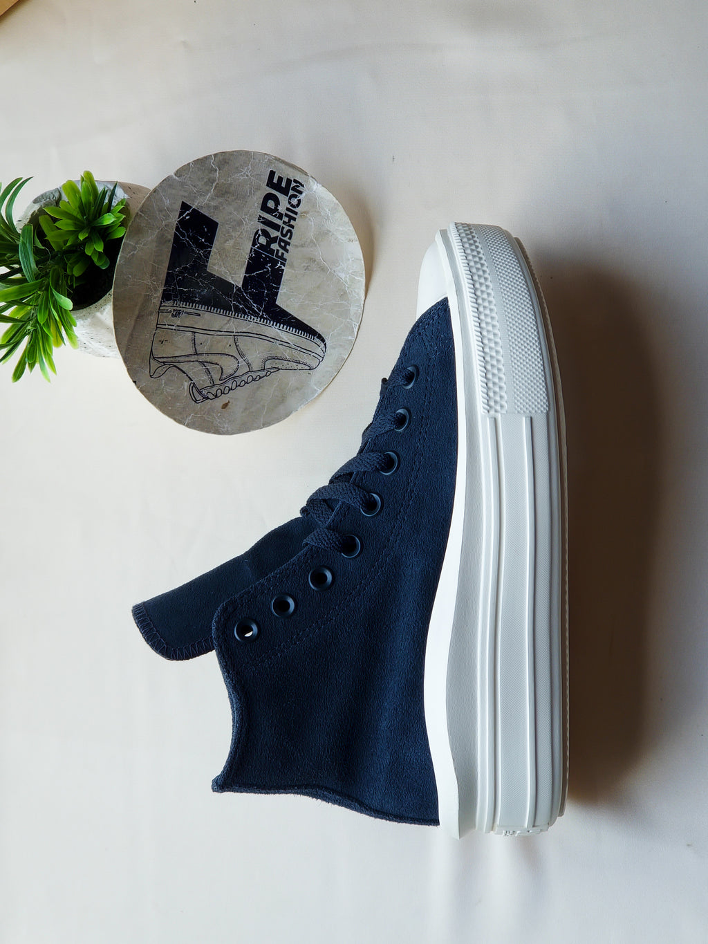 CONVERSE jamais porté