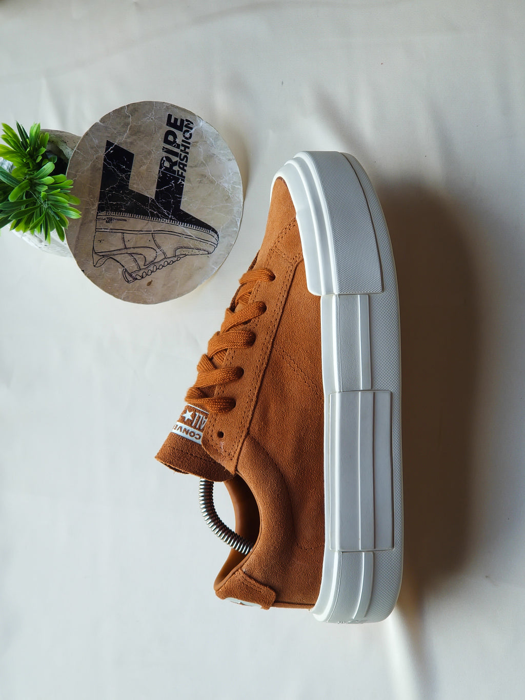 CONVERSE jamais porté