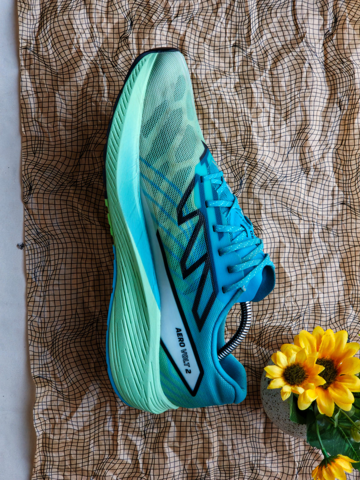 salomon